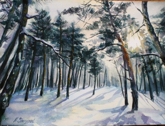 Watercolor painting landscape Winter forest, pines trees, snow, original artwork
