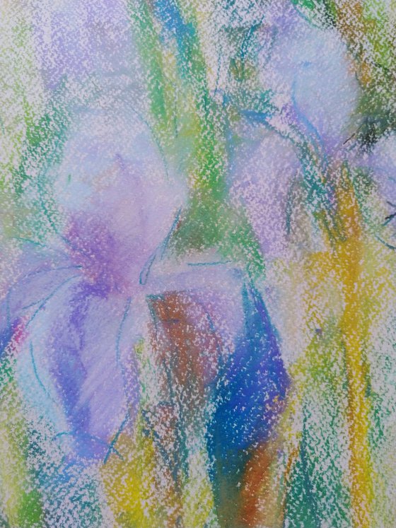 Irises. Original pastel drawing. 50x65 cm