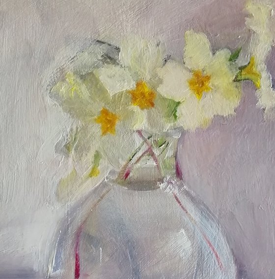 Primroses