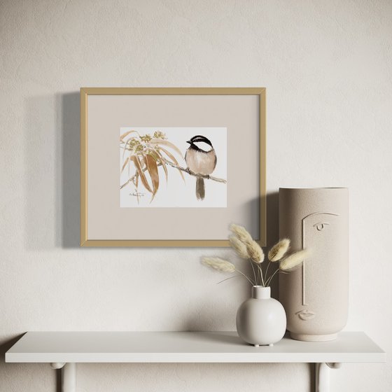 Mountain Chickadee