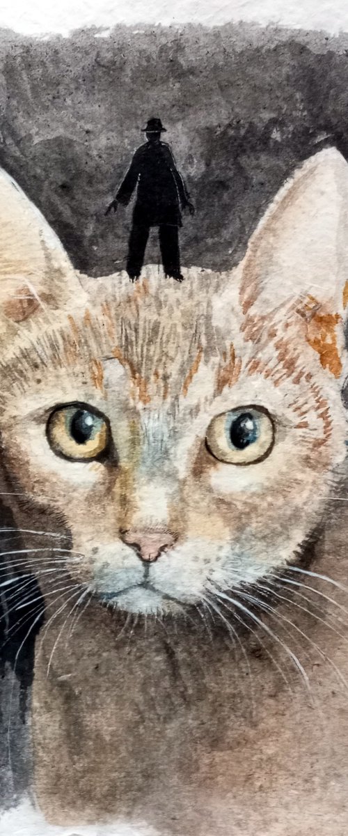 Cat with man by paolo beneforti