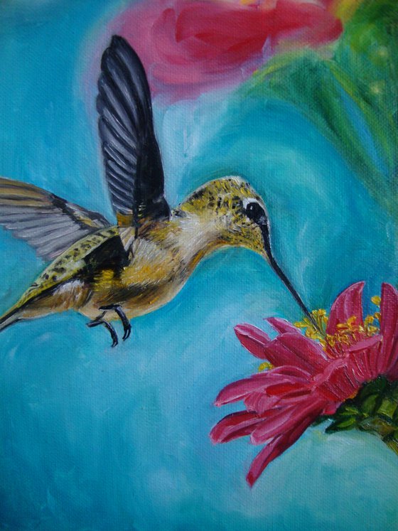 Hummingbird