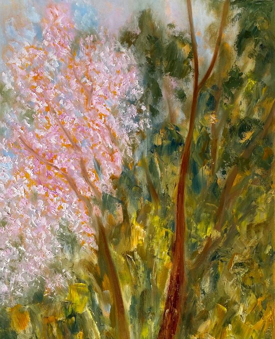 Wild Cherry Blossoms