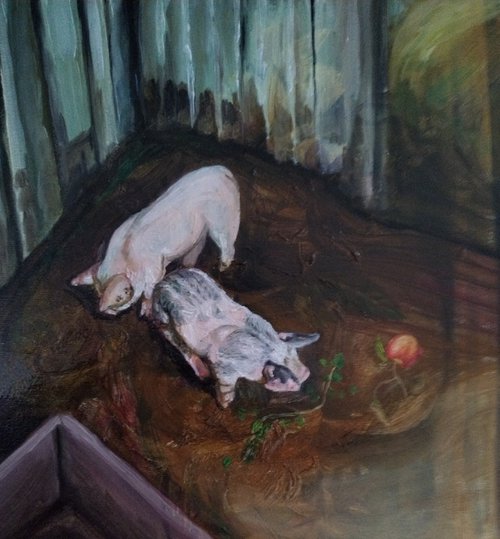 Pigs by Viktória Déri