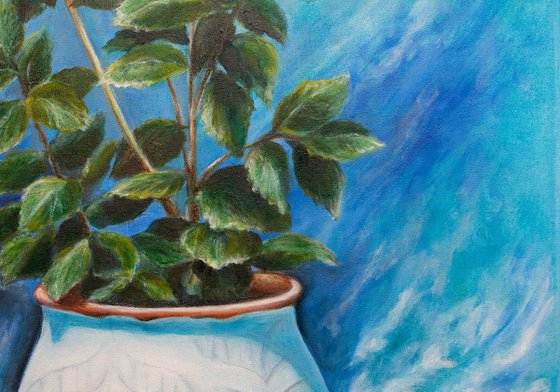 Greek Blue