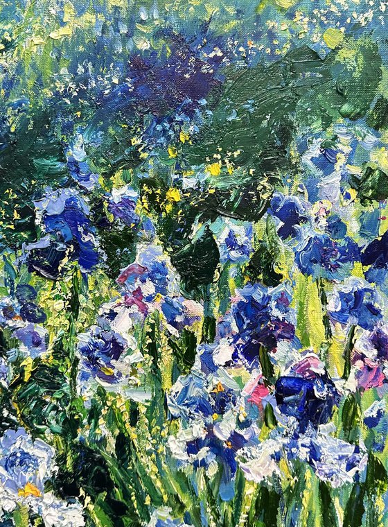 "Irises in My Mother's Garden"