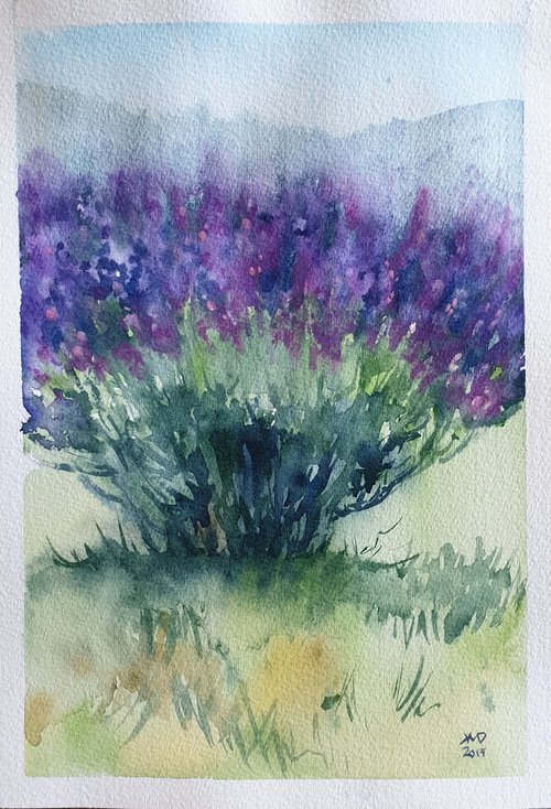 French lavender plant by Ksenia June
