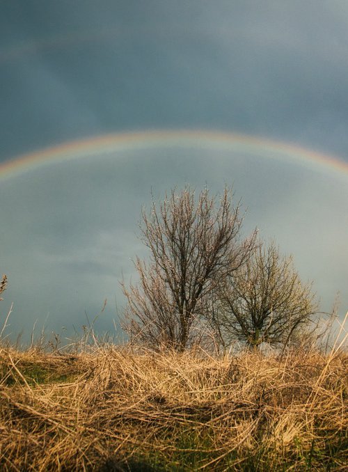 Catch the rainbow by Vlad Durniev