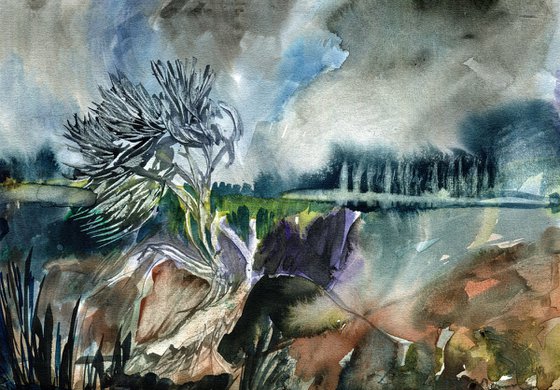 Juniper Tree