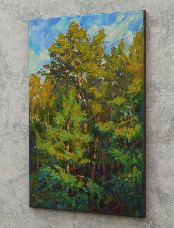 Pine forest