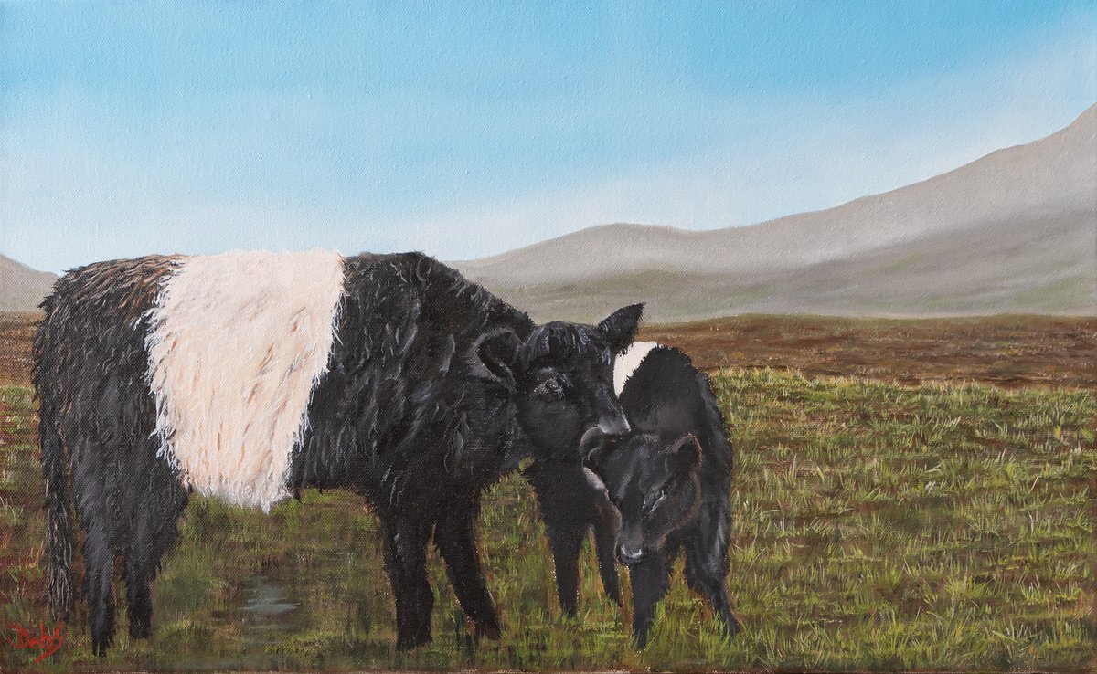 Photorealistic Animal Oil Painting By Debbie Young, 23 X 14, Belted Galloways, Original Artwork