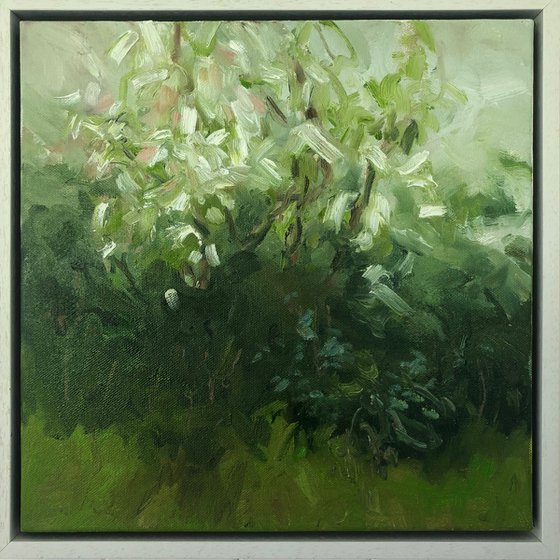 blossom