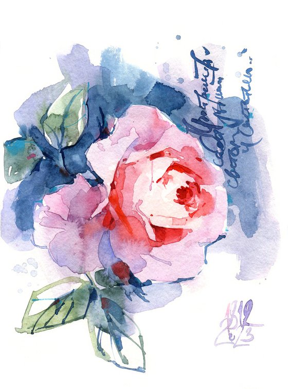 "Glow" watercolor sketch of an orange and coral English rose, "Letters from the Garden" series
