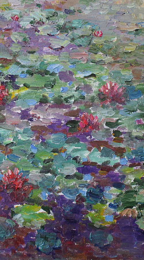 Water lilies in the deep pond by Liudvikas Daugirdas