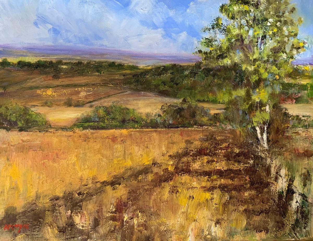 Impressionistic Landscape Oil Painting By Andrew Moodie, 18 X 14, Howardian Landscape, Original Artwork