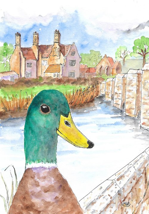 Mallard Duck at Woolbridge by MARJANSART