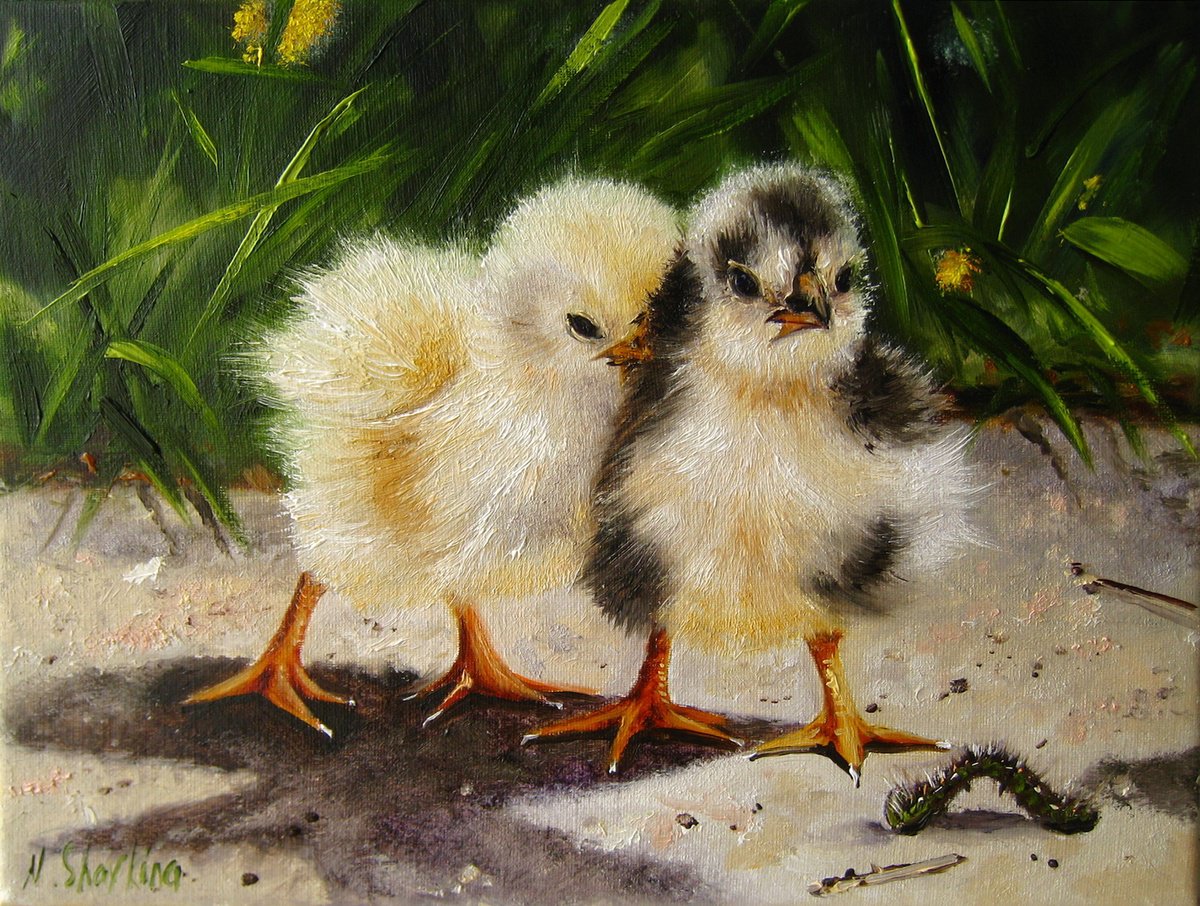 Brave Chickens by Natalia Shaykina