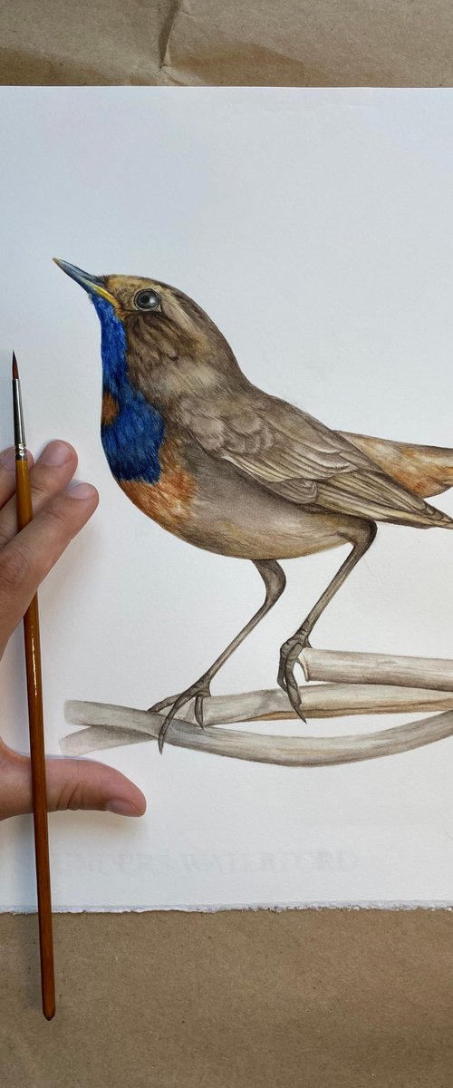 The Power of Intention by Anna Lyashenko