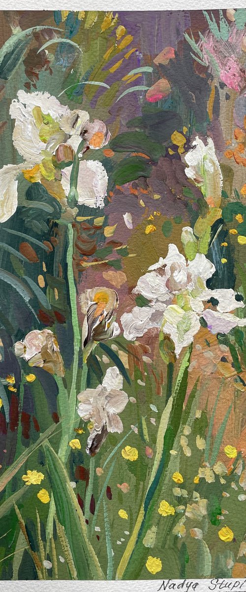 White irises in the garden by Nadezda Stupina