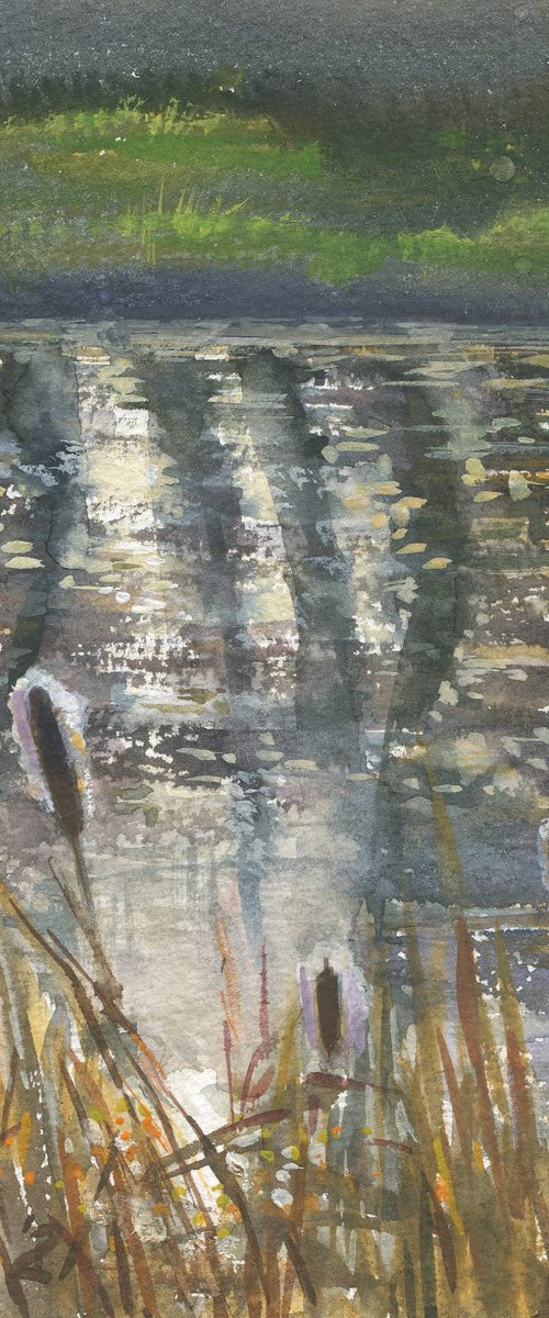 November. Sun in a pond / Water reflection Original sketch Watercolor art work Plein air picture by Olha Malko