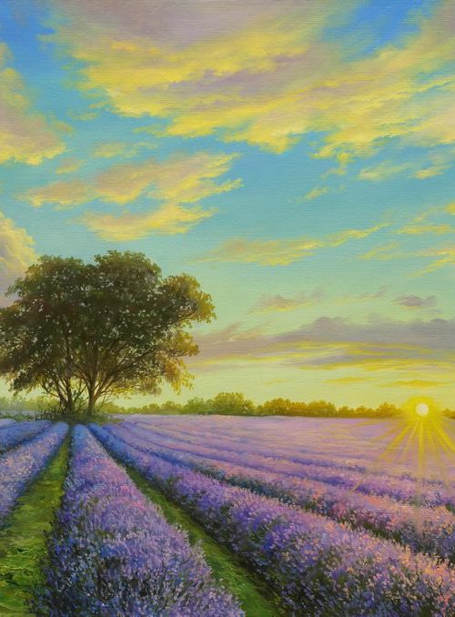 Lavender dreams by Eduard Zhaldak