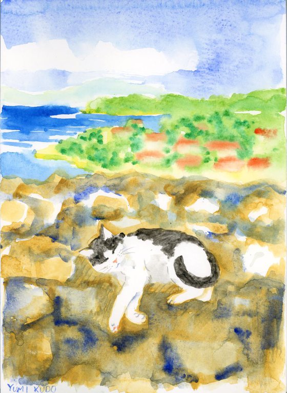 Cat in Corfu