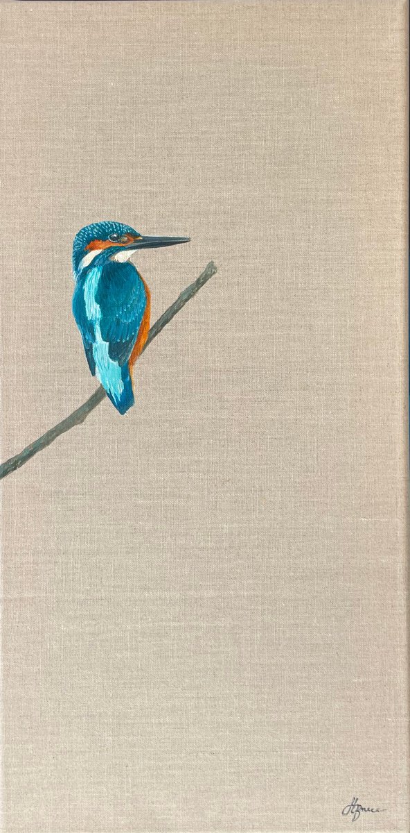British Kingfisher by Hannah Bruce