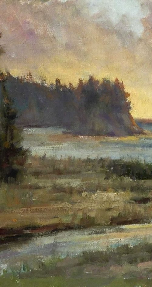 Salt Creek, Sunset by IRINA Kirienko-Milton