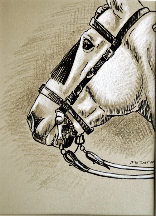 Spanish Tack (Andalusian Horse) by Joanne Kitson