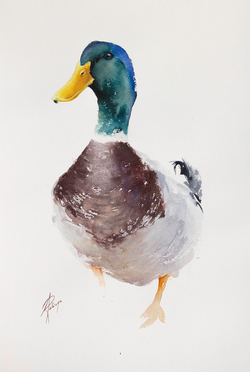 Abstract Animal Watercolour By Andrzej Rabiega, 15 X 22, Mallard Duck, Original Artwork