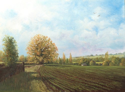 Farnley Park - Early Autumn by Jonathan Smith