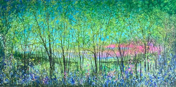 Bluebells at Sunset