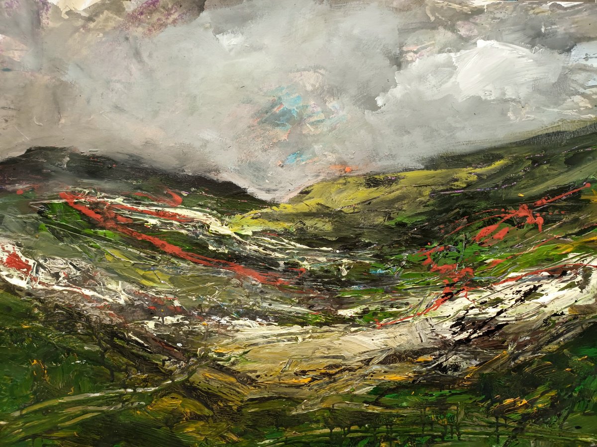 Scottish Highlands by Wim van de Wege