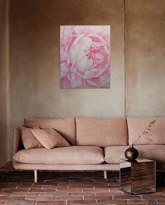 Divine Peony