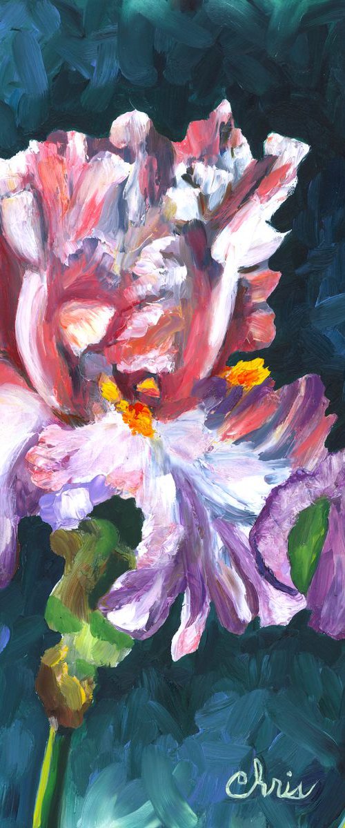 "Blowing Kisses" Iris by Christina M Plichta