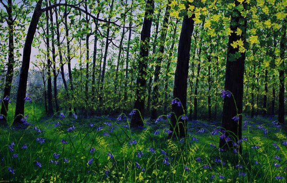 BlueBells