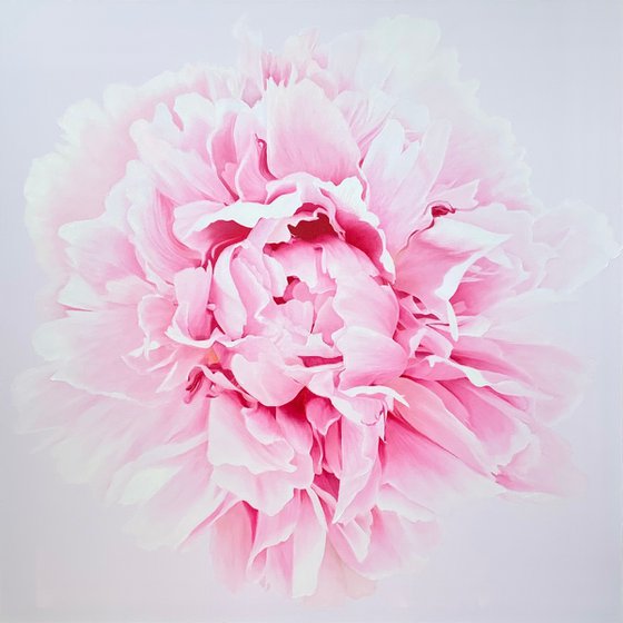 Ethereal II. Macro Peony