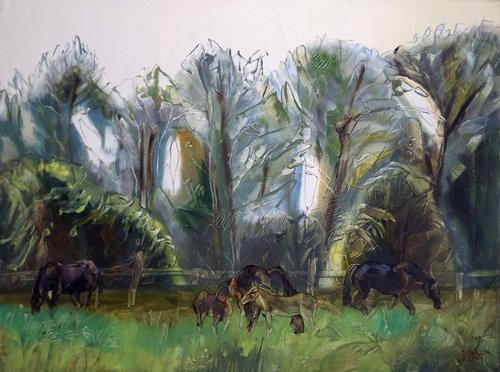 Pasture by Silvija Drebickaite
