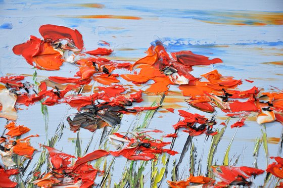 A Meadow Full Of Poppies 3