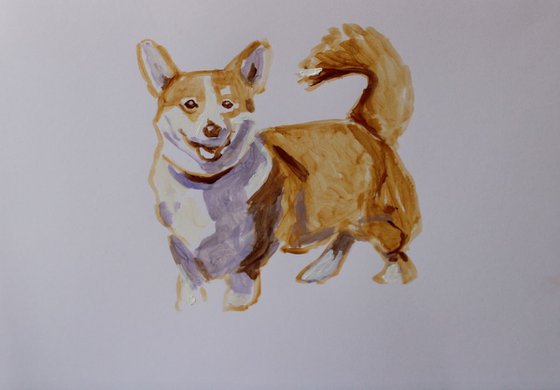 Corgi