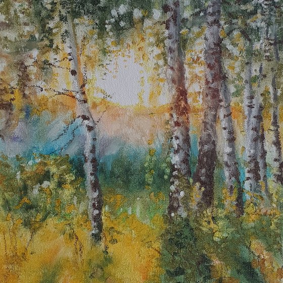 Birch grove
