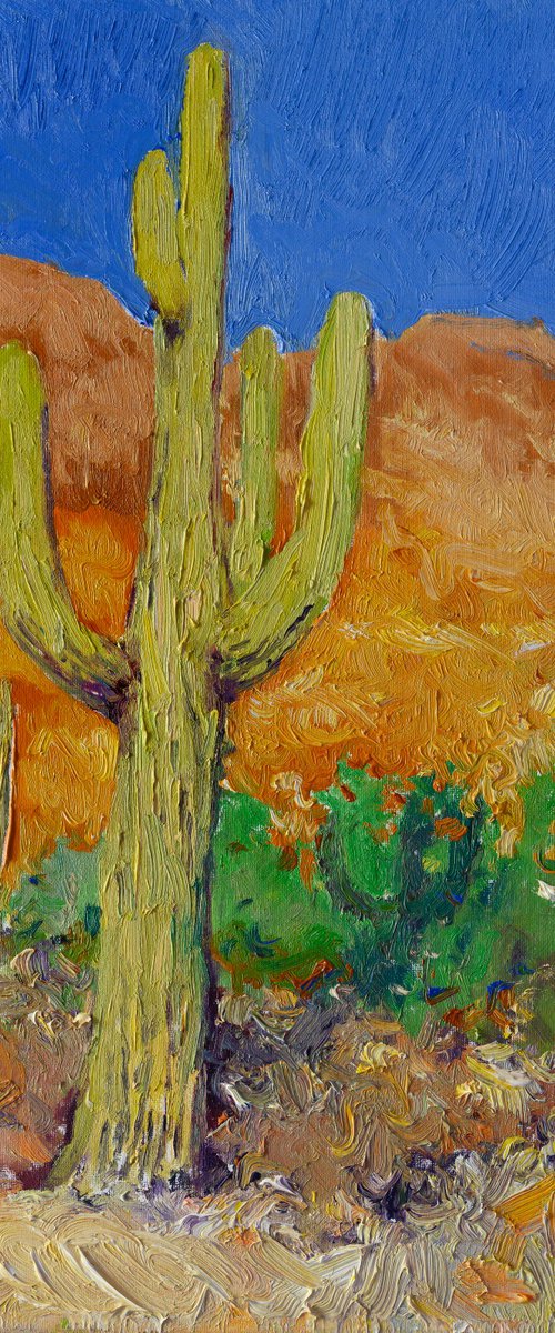 Saguaro Cactuses by Suren Nersisyan