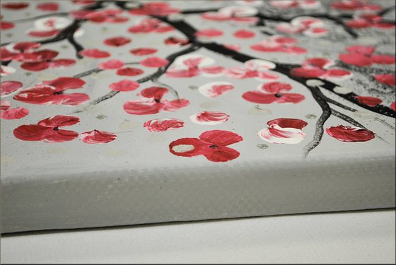 Cherry Blooming