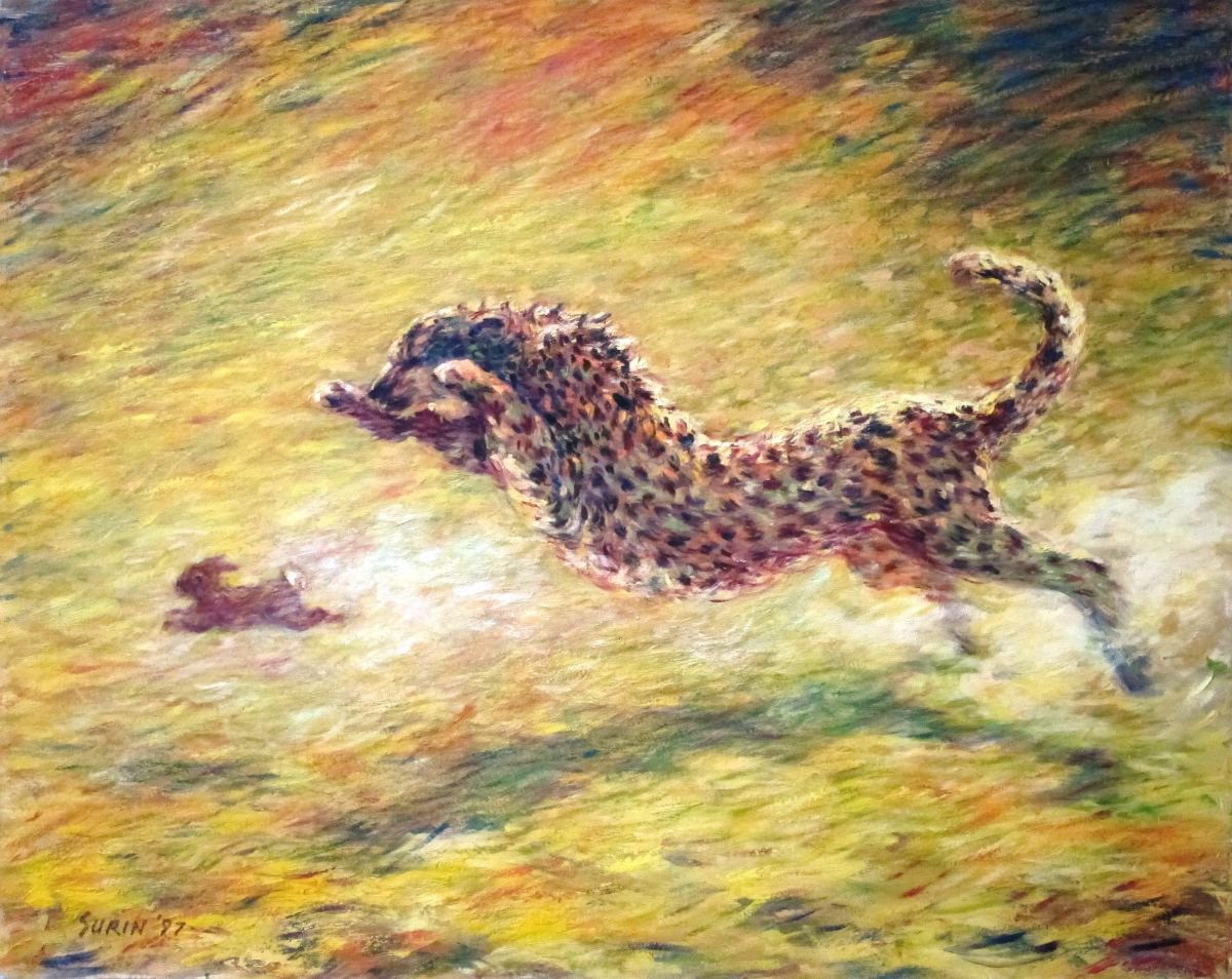 Cheetah by Surin Jung