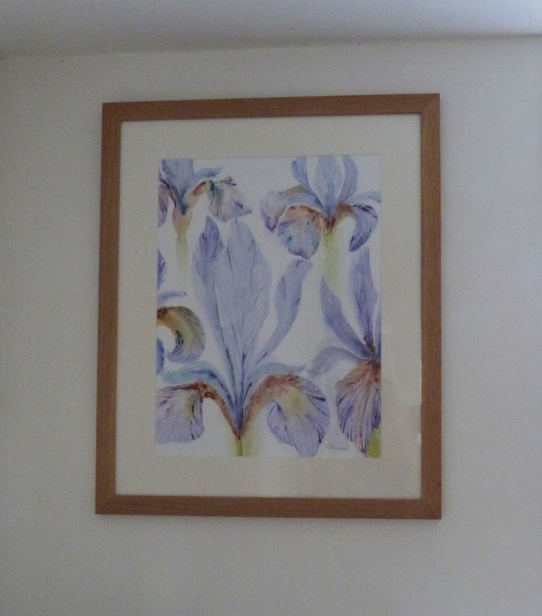 Irises by Janet Sherwood