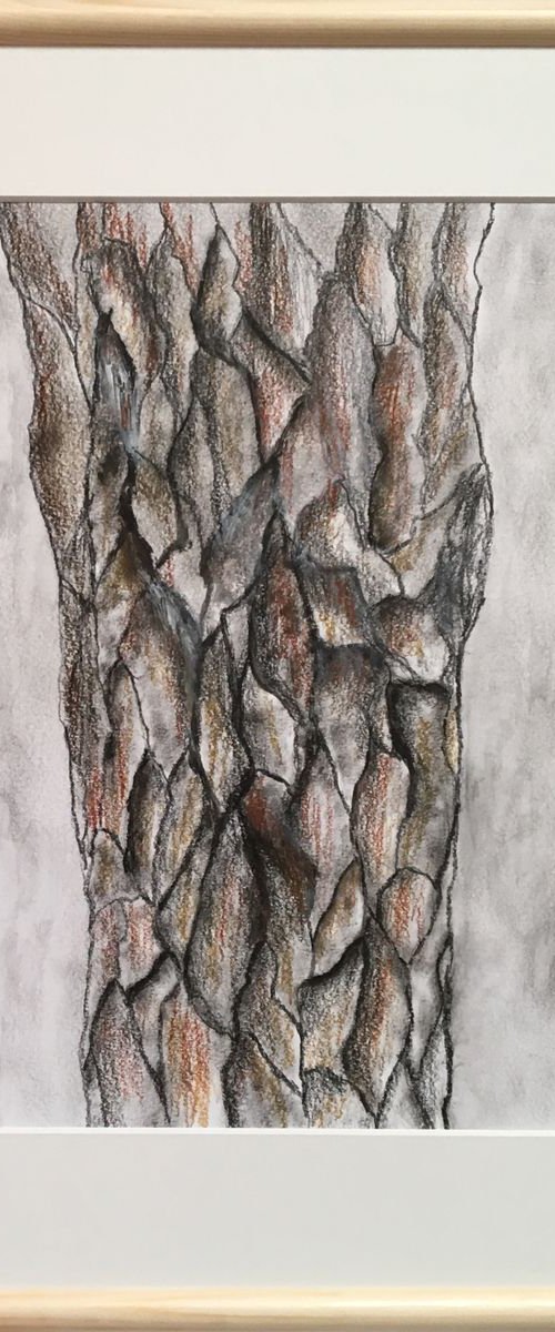 Abstract: bark I by Paola Consonni