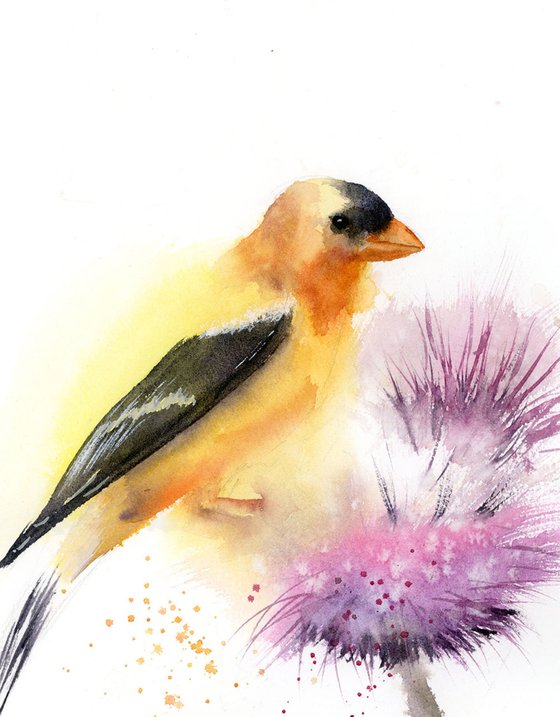 Goldfinch on flower