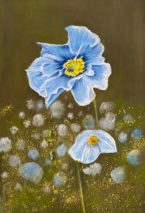 Blue poppies by Maxine Taylor