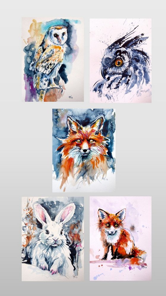 Animal collection