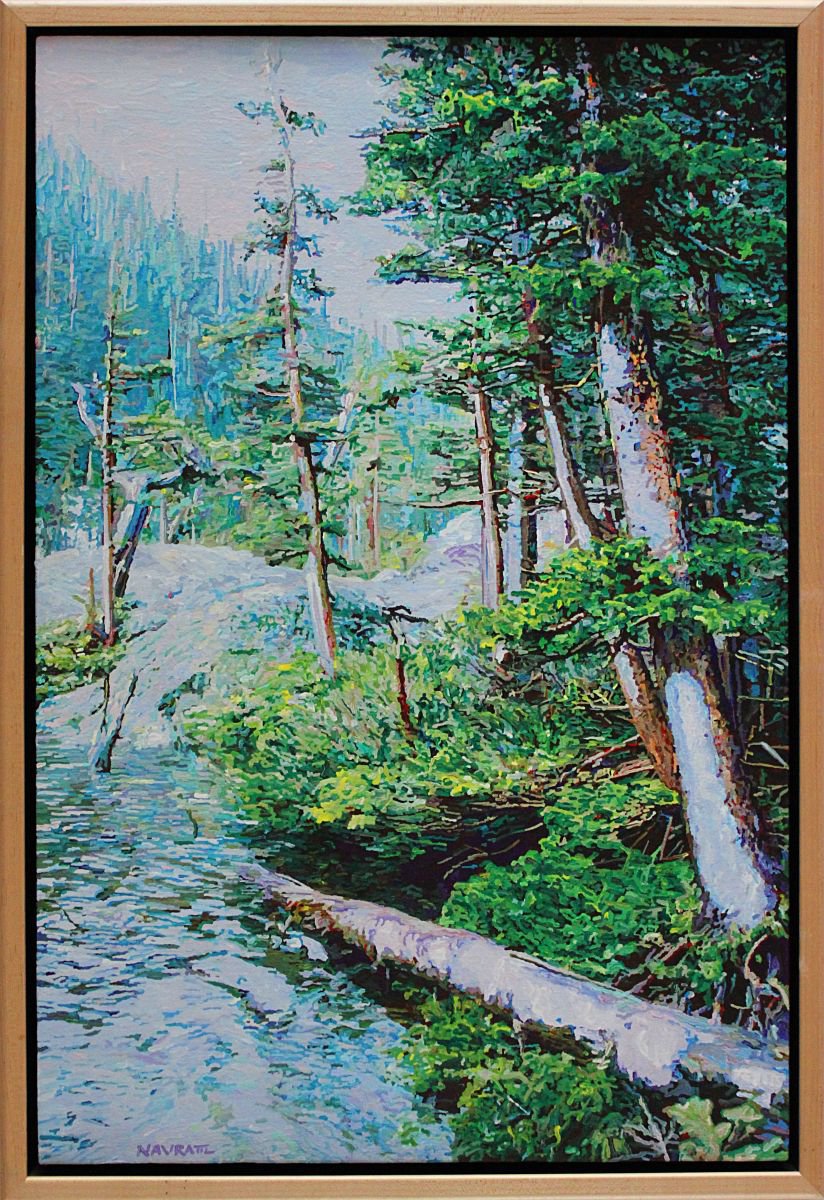 Fresh Summer Snow by Greg Navratil